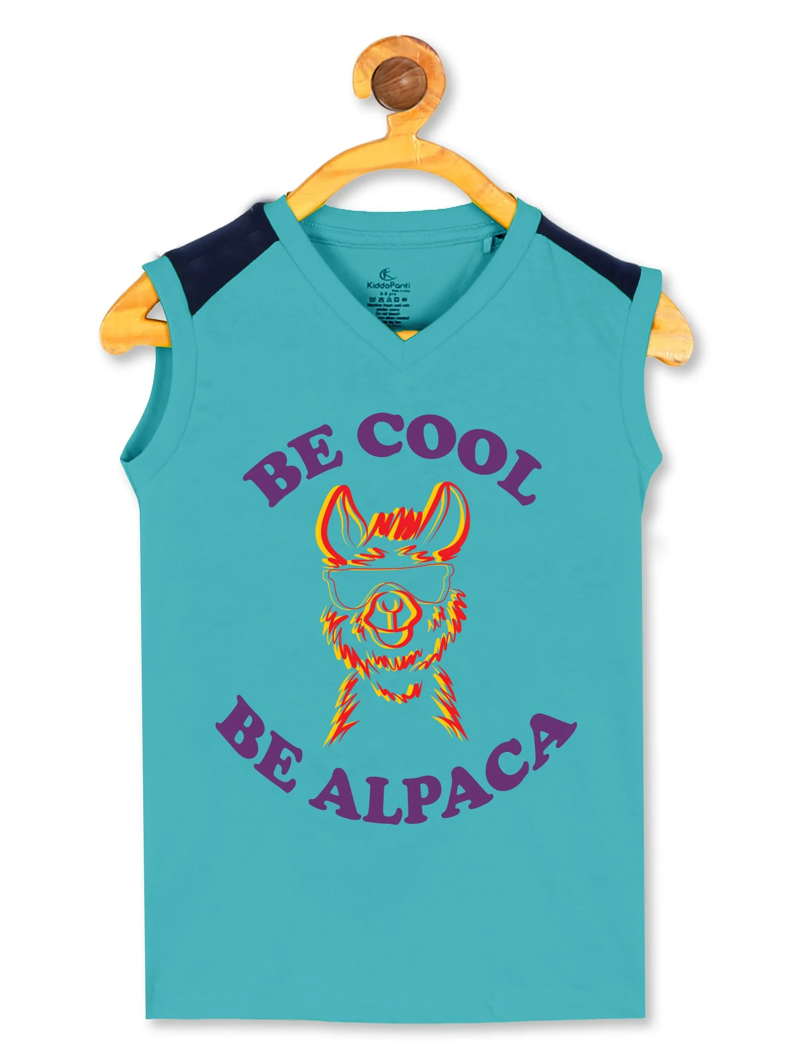 Boys Printed V Neck Sleeveless Tee & Knee length Basic Short Set