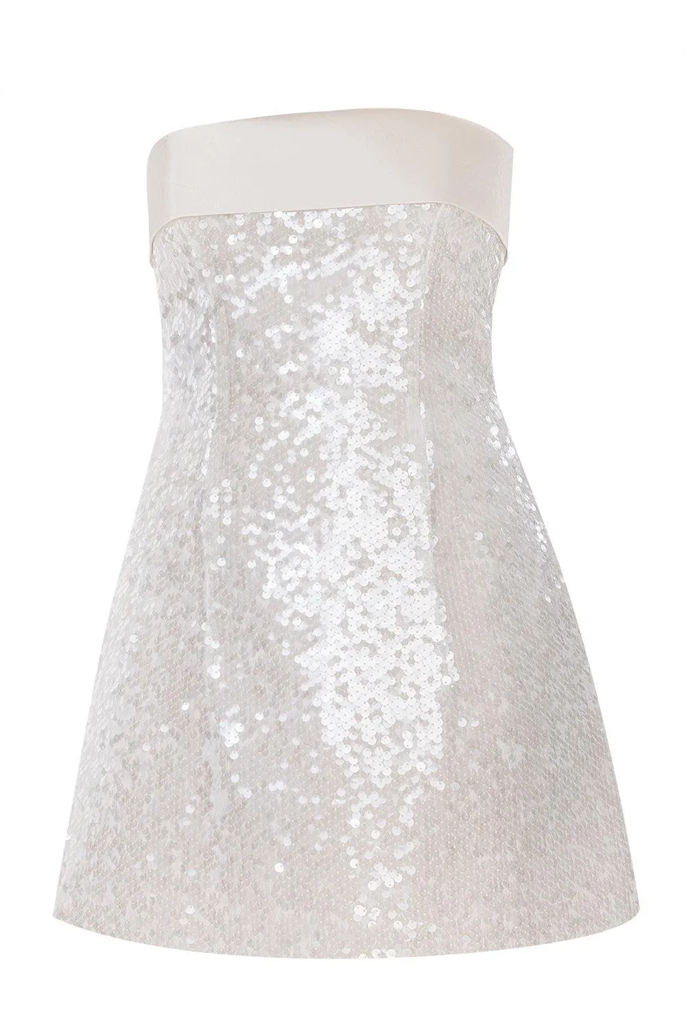 Strapless Sequin Mini Dress